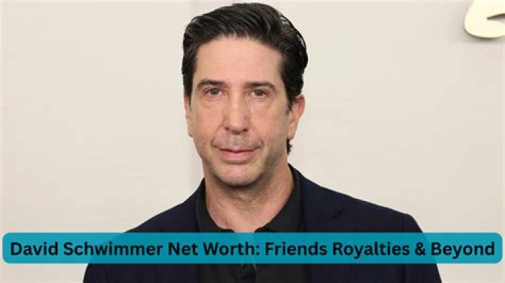 David Schwimmer Bio (Wiki) 