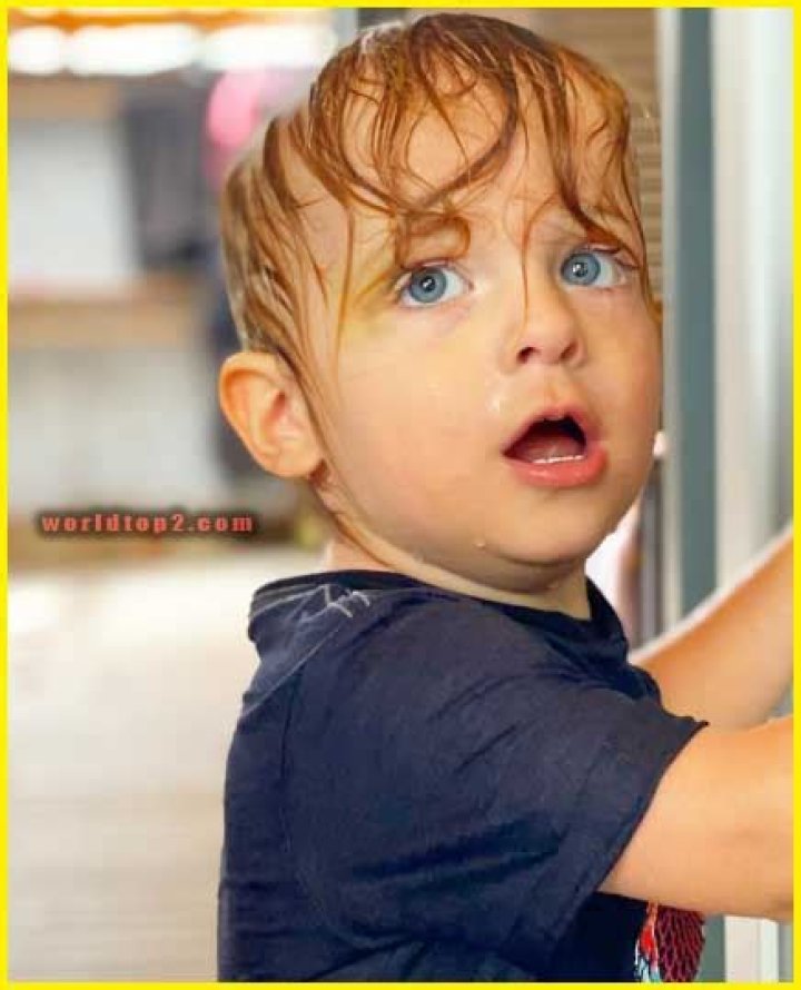 Disco Norris Bio (Wiki) 