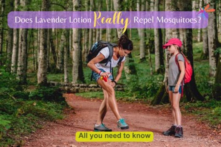 Does lavender lotion repel mosquitoes?