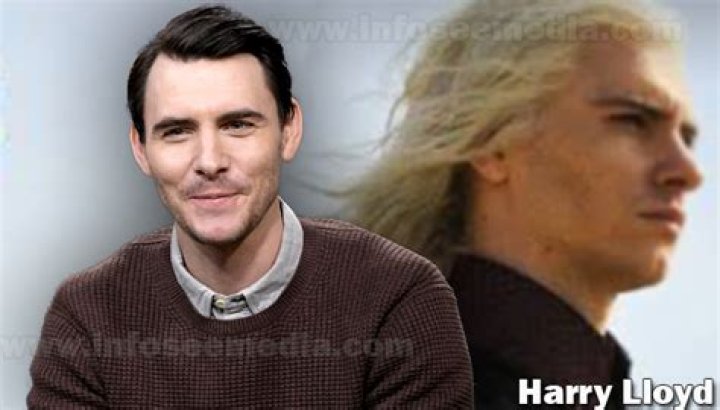 Harry Lloyd - Age, Family, Bio