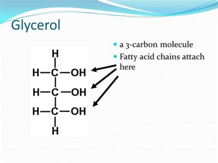 Is glycerol a carb?