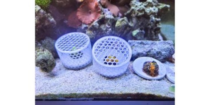 Is resin safe for fish?