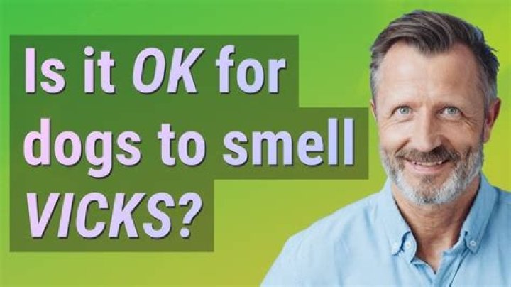Is Vicks safe for dogs to smell?