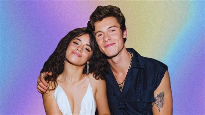 Split! Shawn Mendes and Camila Cabello bid goodbye to one another!