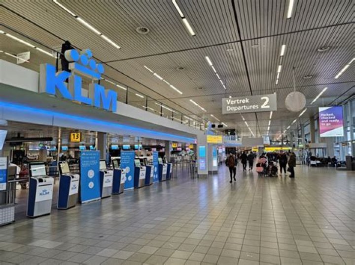 Why was singer Ari Lennox arrested in the Amsterdam airport?